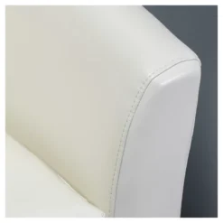 Daymian Faux Leather Swivel Club Chair - Christopher Knight Home -Home Furn Store GUEST 14015665 e4a5 426b 98f4 fb5f1b7fa0a0