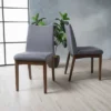 Set Of 2 Dimitri Dining Chair - Christopher Knight Home -Home Furn Store GUEST 19c2ca79 f9a7 47e5 bc74 d11e6eb83c51