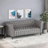 Barneyville Traditional Chesterfield Sofa Gray - Christopher Knight Home -Home Furn Store GUEST a472ff7c b80d 4f2c 9a3c 9806b070d0f5